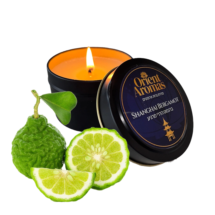 64b004fcf0d82baa2ec79228.750.1x1 (1)